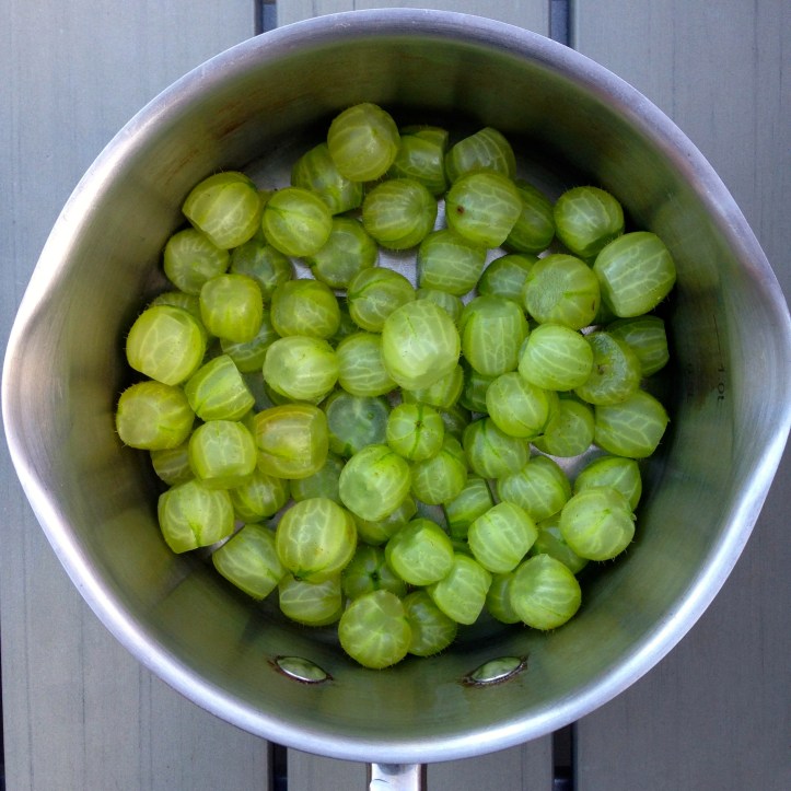 gooseberries galore